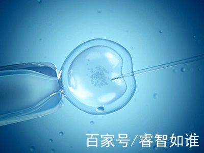 供卵试管选性别代生公司